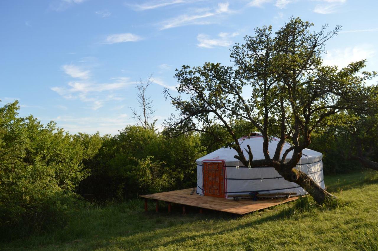 Camping V Raji - Palda Rovensko pod Troskami Buitenkant foto